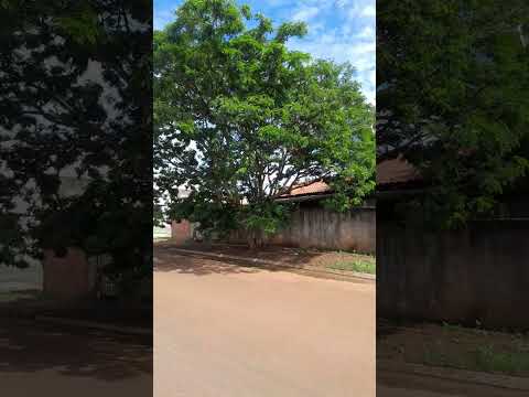 Joviânia-GO Brasil...