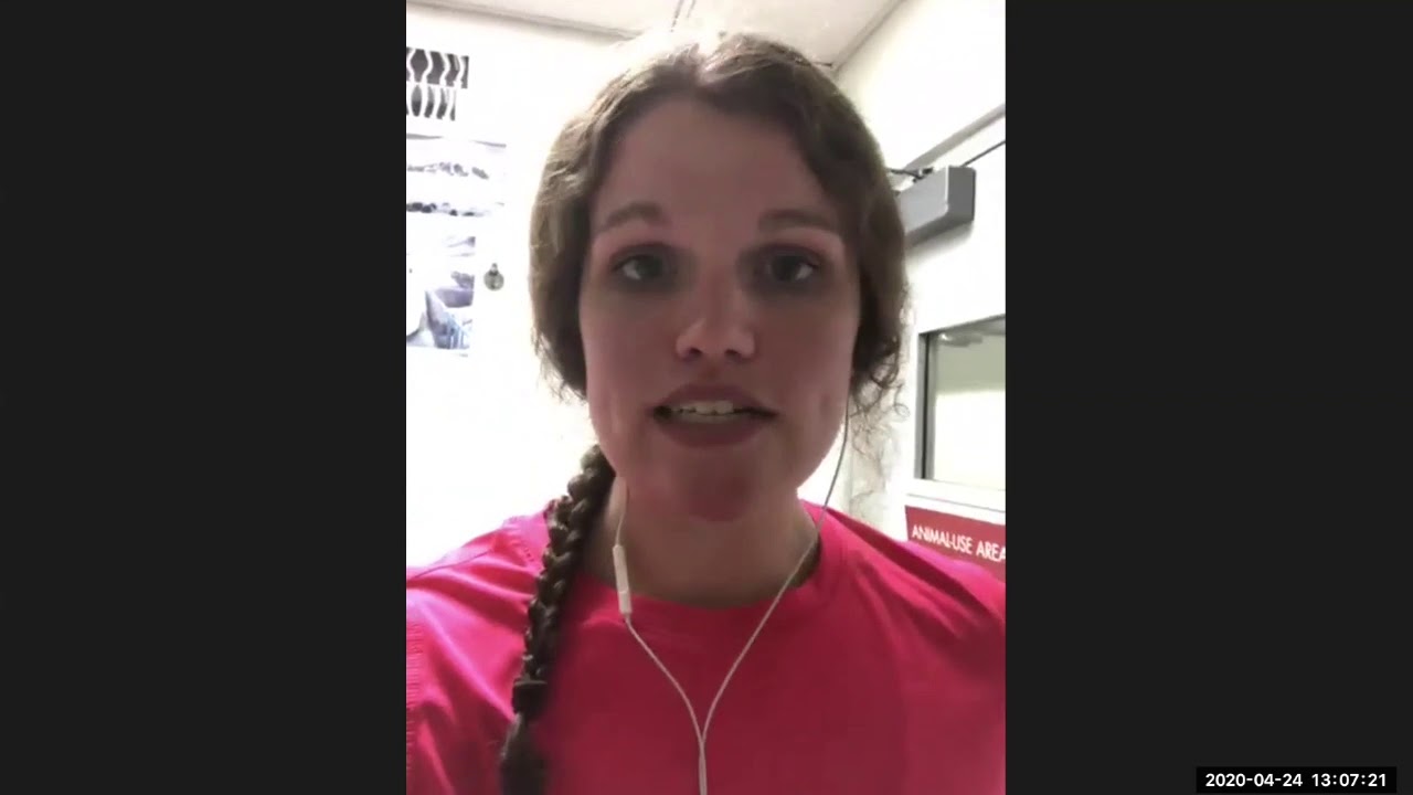 Virtual Swine Farm Tour - Arlington Swine Research and Teaching Center