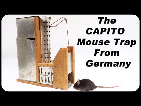 The CAPITO Original Mouse Trap from Germany - Mousetrap Monday