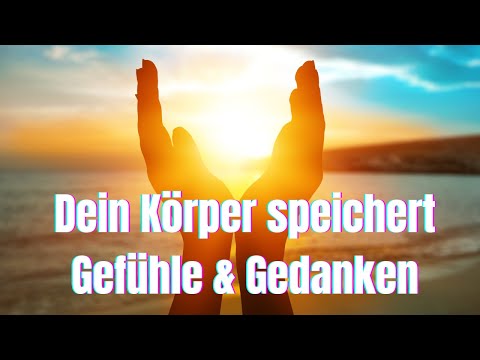 Aus Worten werden Krankheiten: Das Wasser trägt ihre Energie in jede Zelle