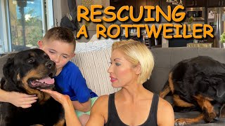 We Adopted a Dog from a Rescue