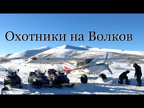 Охотники на Волков Якутия 2020 год