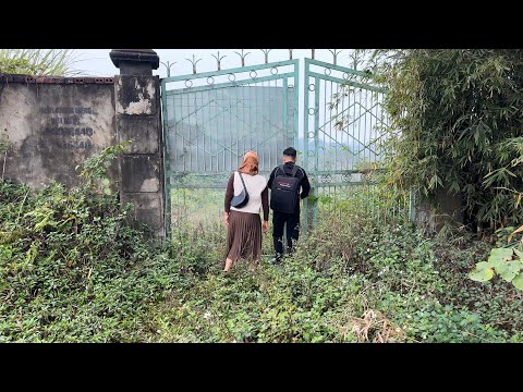 Árangursrík kona eyddi 100.000 € í yfirgefið hús í skóginum — hvers vegna?