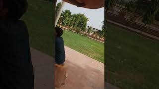 Download lagu Maran Ki baat kara Rao sahab ke shot 🥃🥃 video source 😎😎😎😎 mp3