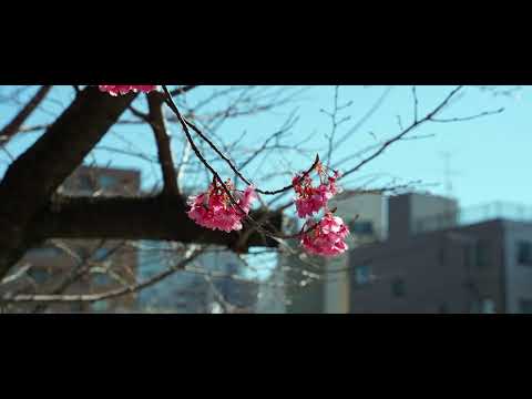 Ashita Atari wa Kitto Haru - Tin Pan Alley