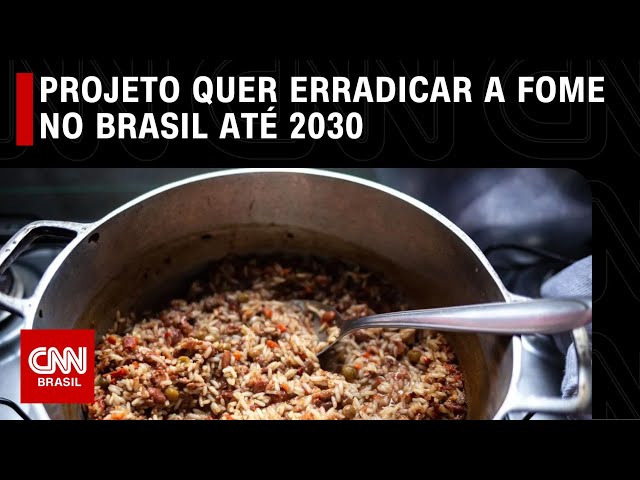 Projeto quer erradicar a fome no Brasil até 2030 | LIVE CNN