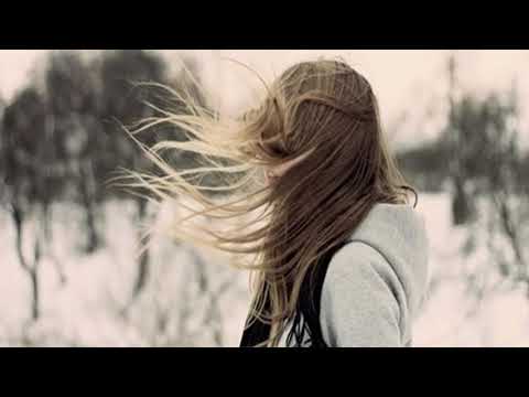 Virginio Puzo - Se le cose stanno così