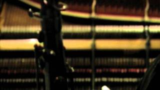 PATAX directo (luckycharms)