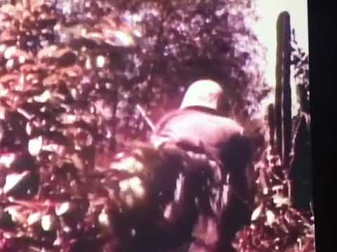 Bradford O’Connell artsy-fartsy