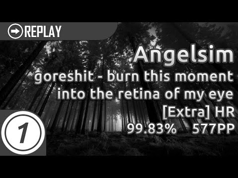 Angelsim | goreshit - burn this moment into the retina of my eye [extra] +HR 99.83% 1xmiss 577pp