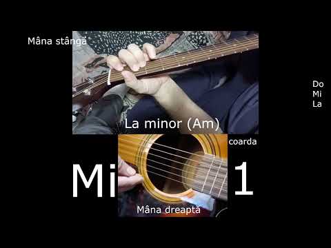 Lectii de chitara pentru incepatori