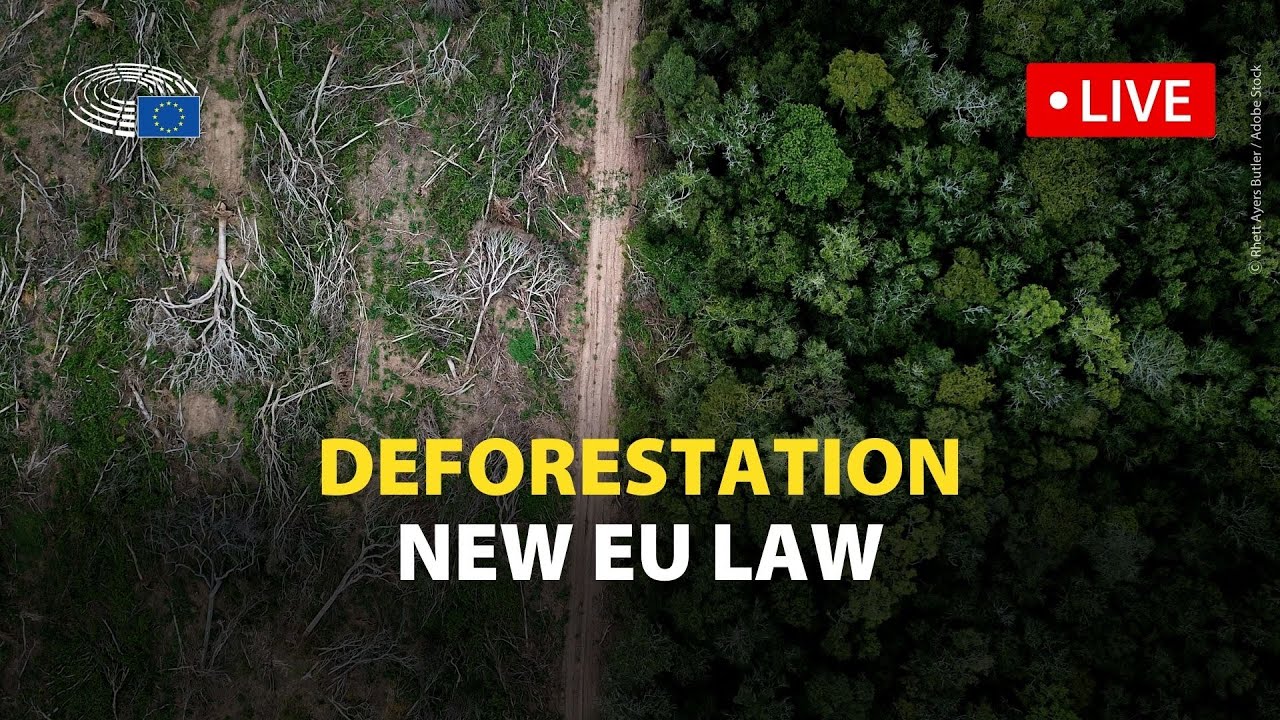 Parliament to adopt new law to stop EU sale of products causing deforestation