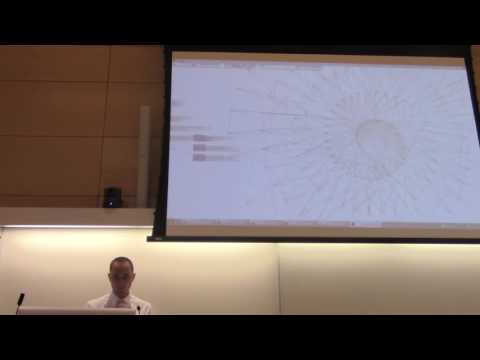 Non-Axiomatic Reasoning System (Pei Wang and Open-NARS Team)