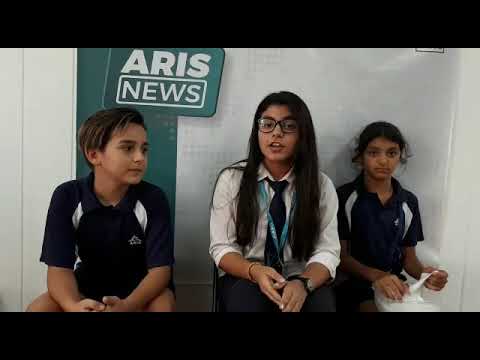 ARIS News with Sara Mattouk 1 February 2019 C&Y Slime inc.