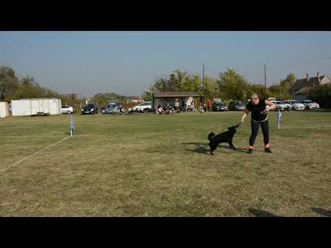 Topi Puller Jumping futam 20191027