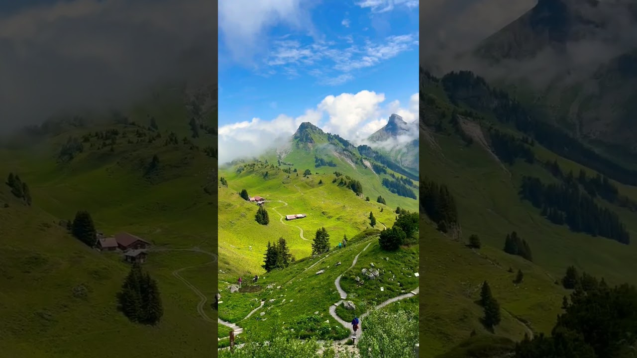 YouTube Short thumbnail