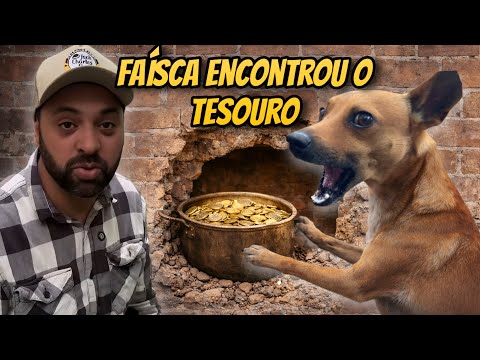 Faísca fareja e encontra tesouro indescritível na parede 