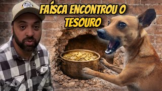 Faísca fareja e encontra tesouro indescritível na parede 