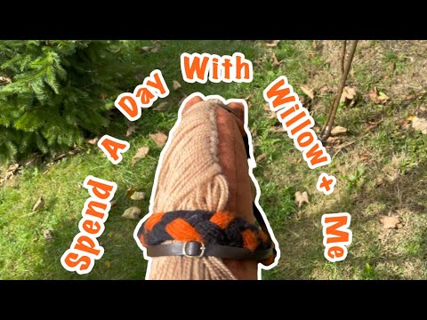 Spend a day with my HOBBY HORSE Willow!