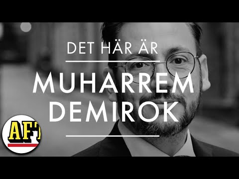 Misshandelsdom och turkiskt medborgarskap – det här är Centerns nye partiledare