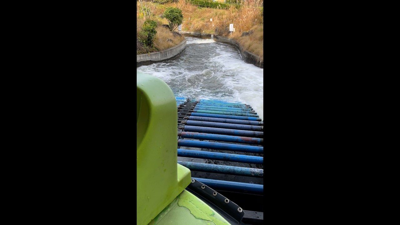 【心霊闇動画82】連れて帰ってきちゃった？！遊園地のウォーターアトラクションで出現した"それ"。その夜、家族を襲った怪現象とは？【ウォーターアトラクション】