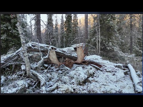 Pavel Svimba - Noitavainottaa [Official Video]