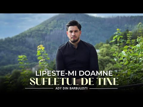 Ady din Barbulesti - Lipește-mi Doamne sufletul de tine ( Cover )