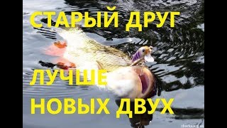 Воблер юзури л минноу 33
