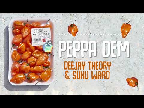 Deejay Theory - Peppa Dem feat. Suku Ward (Visualizer)