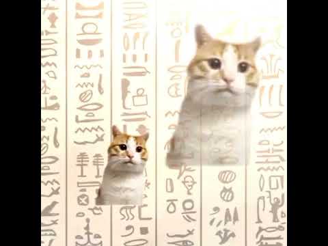 cato memé + píramide