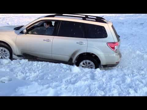 Outback Vs Crosstrek Vs Forester Car Forums At Edmunds Com
