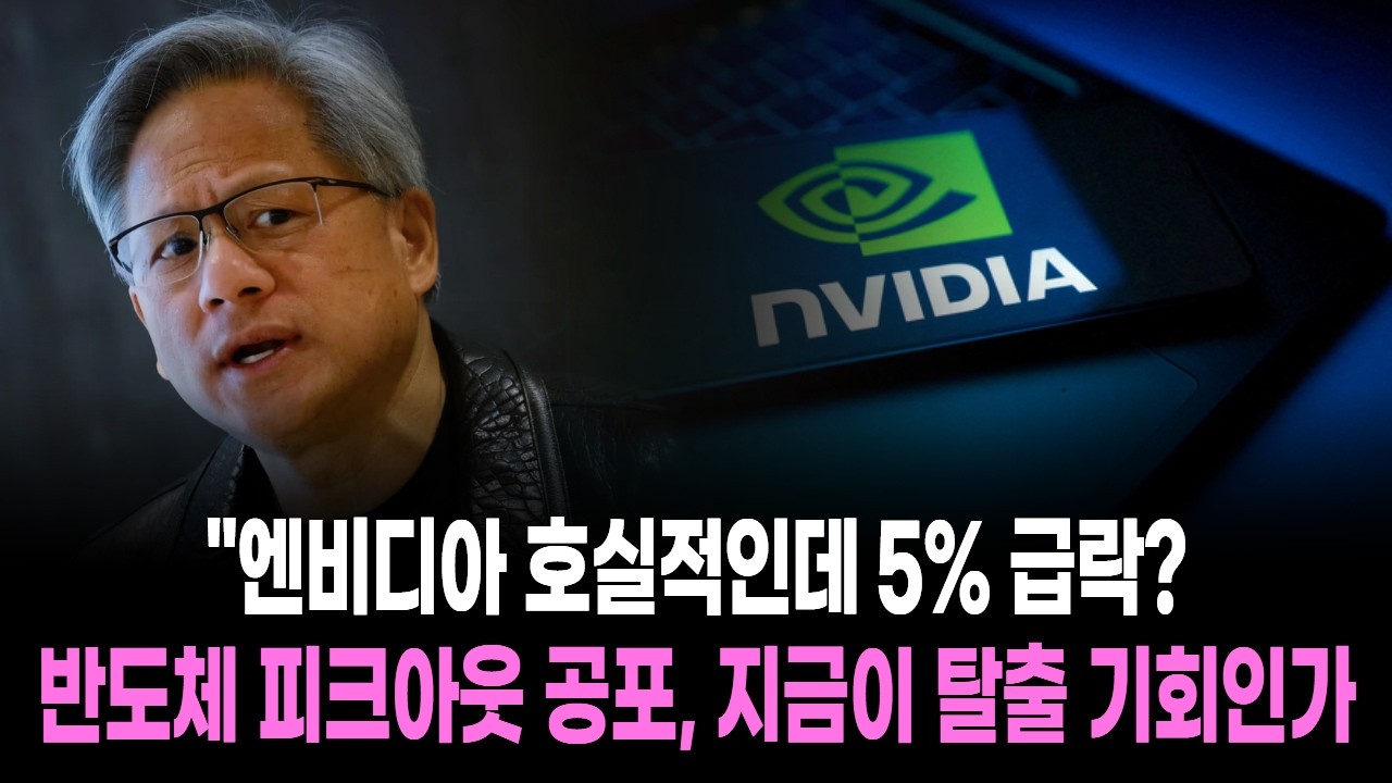 엔비디아 호실적인데 5% 급락 반도체 피크아웃 공포, 지금이 탈출 기회인가