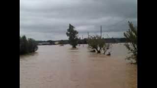 preview picture of video 'Marsiliana - Fiume loc. Quarto Albegna Alluvione 12/11/2012'