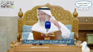 4116 - كيف نعرف الفائز في مسابقة الخيل والإبل؟ - عثمان الخميس