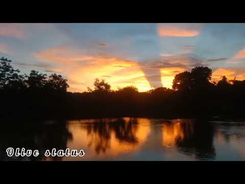 Beauty of nature Status video  | Sumaya song |Olive Status New video 2022|