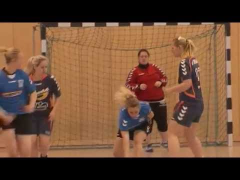 Lokalsport Parchim Frauencup im Handball