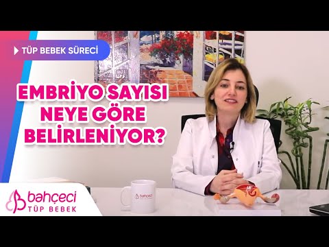 Embriyo Sayısı Neye Göre Belirleniyor?