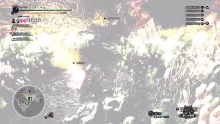 [MONSTER HUNTER WORLD]麒麟に風穴！