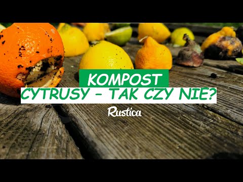 Czy cytrusy można wrzucać do kompostu?