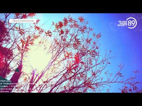 Freydal - A Thousand Still Frames (Original Mix) [THS89]