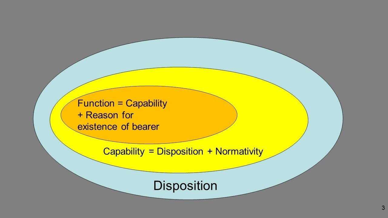 MULTIMEDIA SPOTLIGHT 