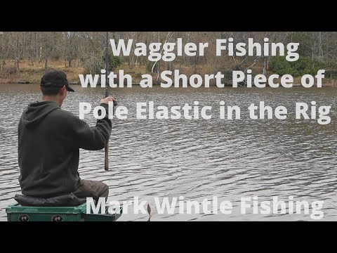 Waggler Fishing with a Short Piece of Elastic in the Rig