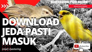 Download lagu burung kenari ngeroll nembak fighter gacor dor vs ciblek sawah ngbren panjang | MasteringID mp3 Download lagu burung kenari ngeroll nembak fighter gacor dor vs ciblek sawah ngbren panjang | MasteringID mp3