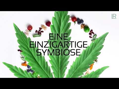 Schmerzarzt entwickelt "CannAloe" von LR - neue Option, Vollspektrum-Produkt, Aloe Vera + Cannabis +