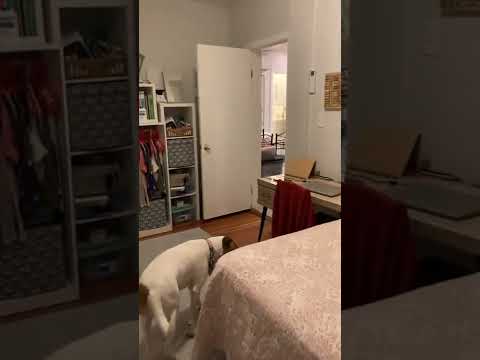 101 Arlington St Unit 1 video