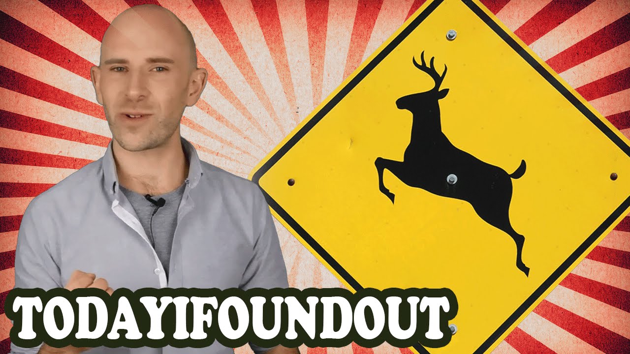 Watch video Do Road Hazard Signs Like Deer Crossing and Falling Rocks Actually Prevent Accidents Now Do Road Hazard Signs Like Deer Crossing and Falling Rocks Actually Prevent Accidents