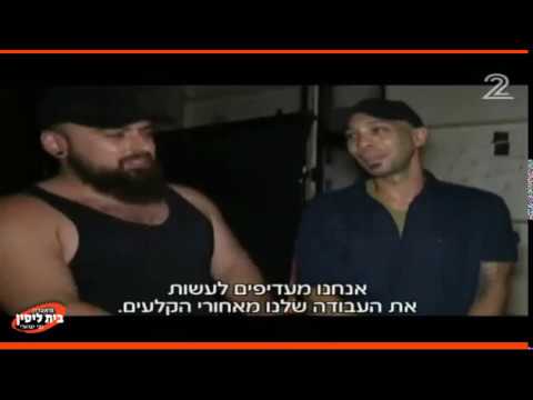 טריילר
