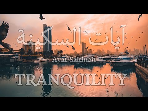 آيات السكينة لدفع القلق والهموم | AYAT OF TRANQUILITY - SAKINAH