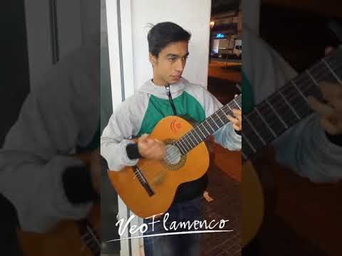 Juan Antonio Gabarre "Mi Marciana" de Alejandro Sanz​ | VEOFLAMENCO