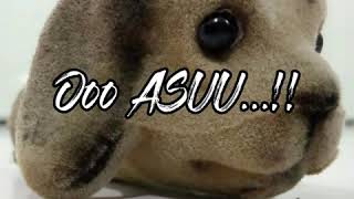 Download lagu Story WA 30 detik | ASU mp3